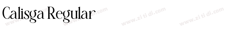 Calisga Regular字体转换 Calisga Regular字体转换